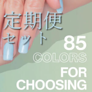 【定期セット】ネイルチップ